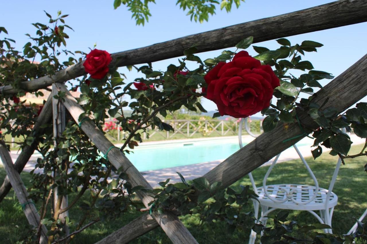 Agriturismo La Paciarella Campiglia dʼOrcia Exterior foto