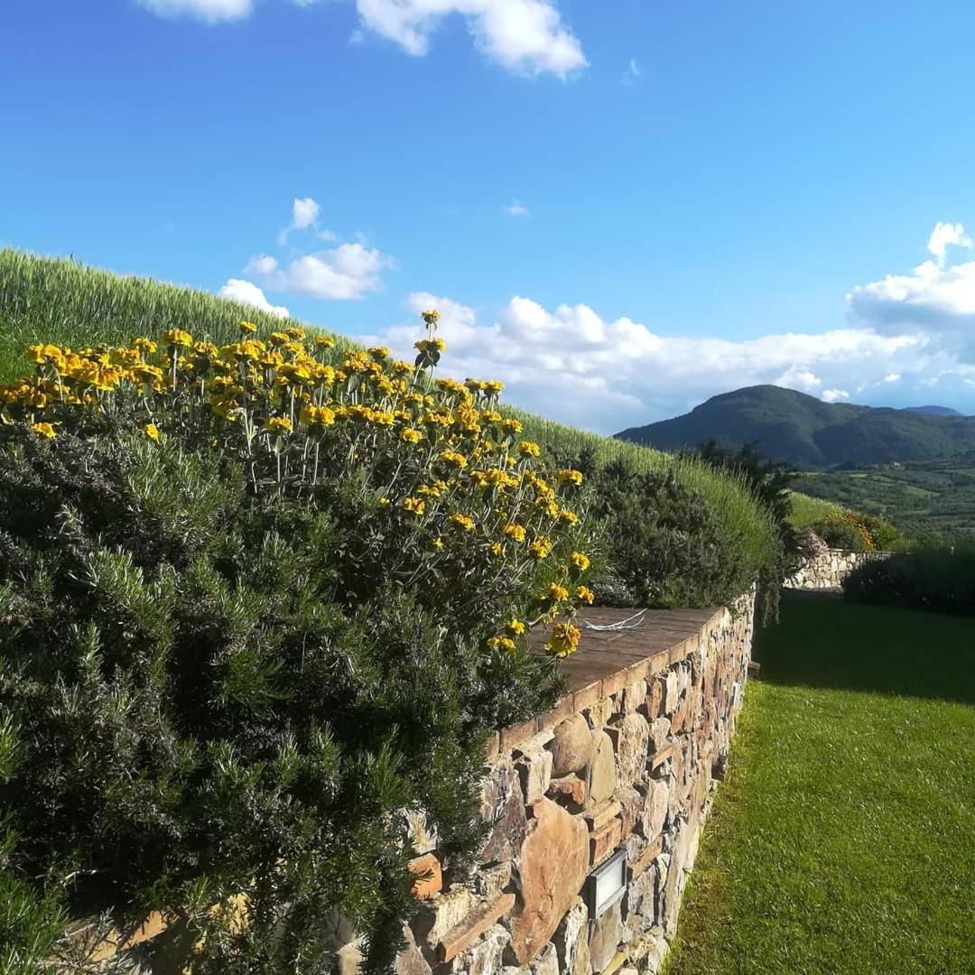 Agriturismo La Paciarella Campiglia dʼOrcia Exterior foto